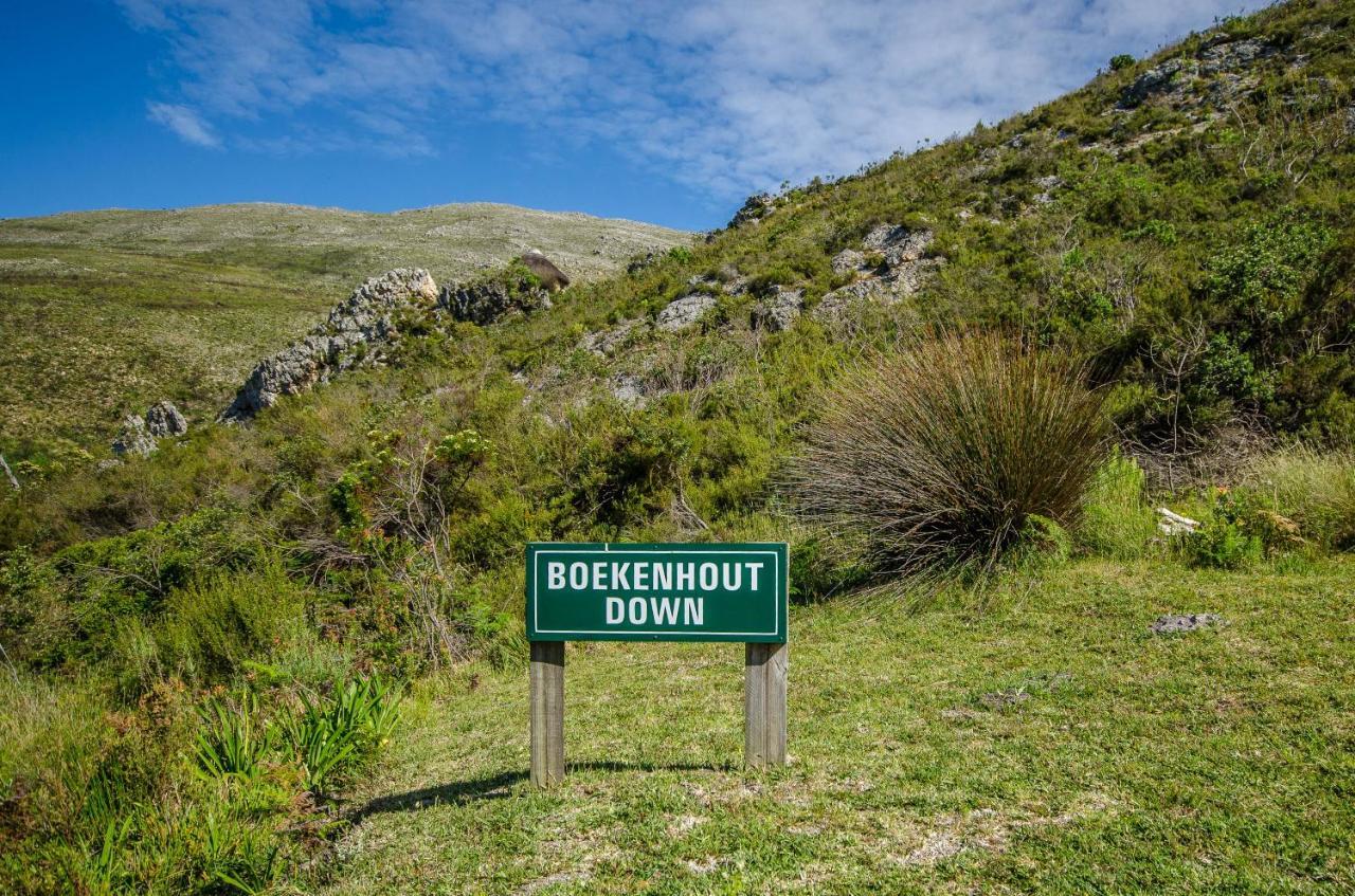 The Volmoed Trust Chalé Hermanus